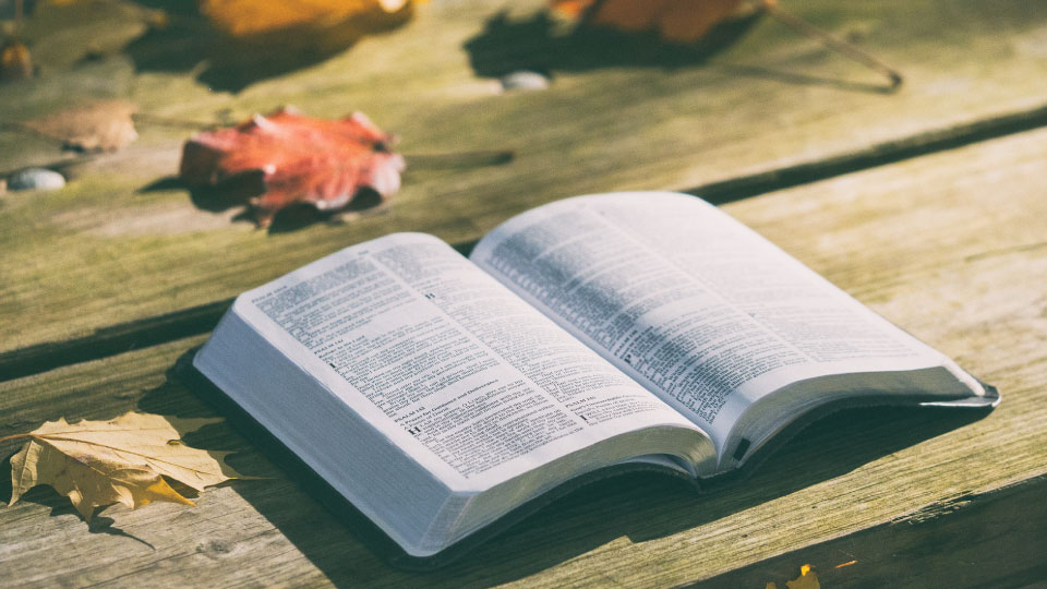 Evangelism is a necessary part of Discipleship