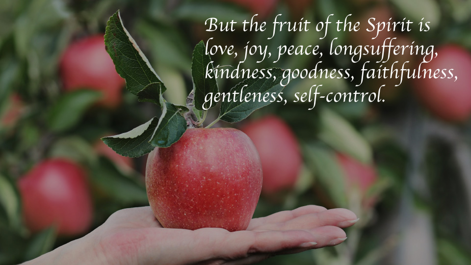 The Fruit of the Spirit Part 4