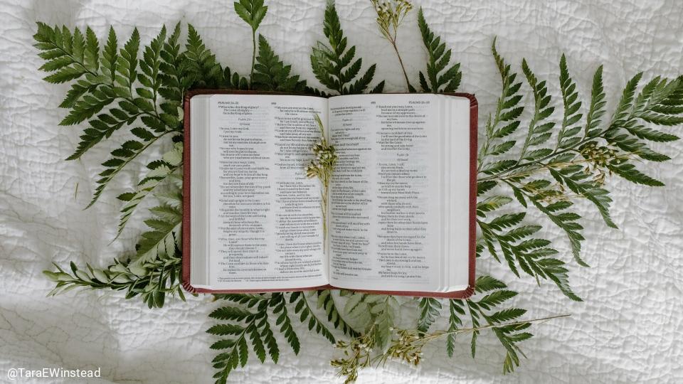 The Holy Spirit - His Gifts